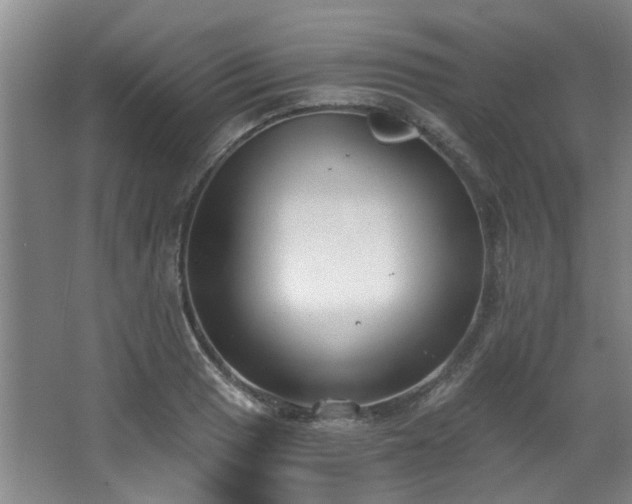 X0000068311033200604241358