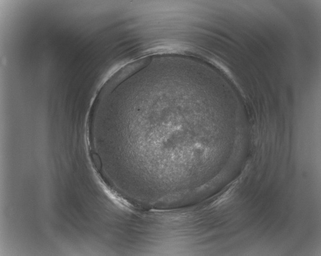 X0000068311034200604241358