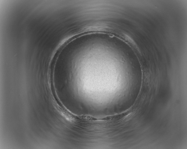 X0000068311035200604241358