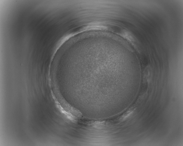 X0000068311038200604241358