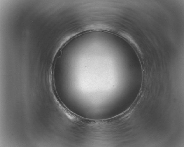 X0000068311040200604241358