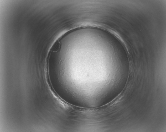 X0000068311048200604241358