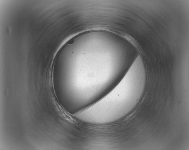 X0000068311052200604241358