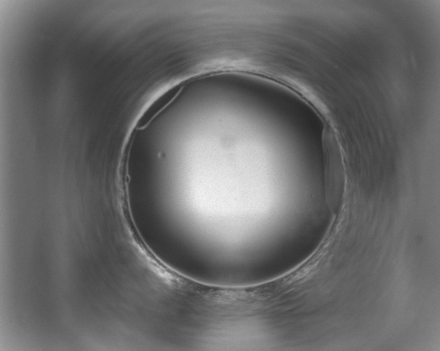 X0000068311056200604241358