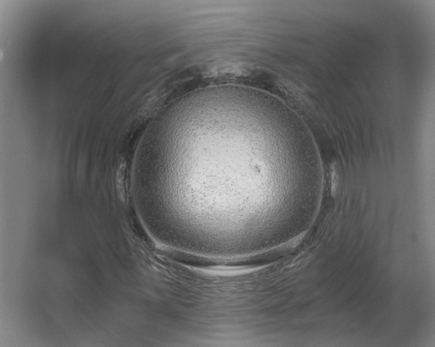 X0000068311059200604241357