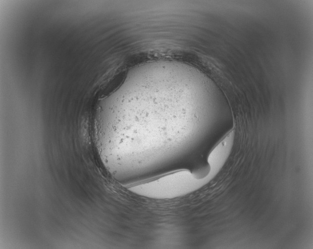 X0000068311060200604241357