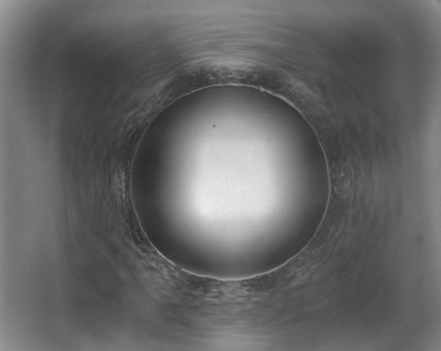 X0000068311061200604241357