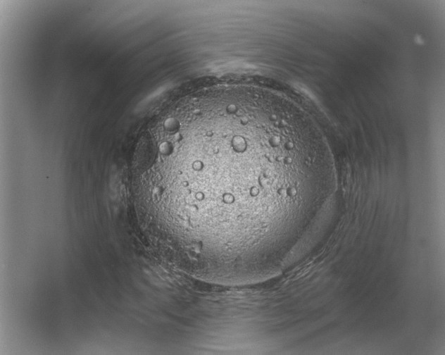 X0000068311063200604241357