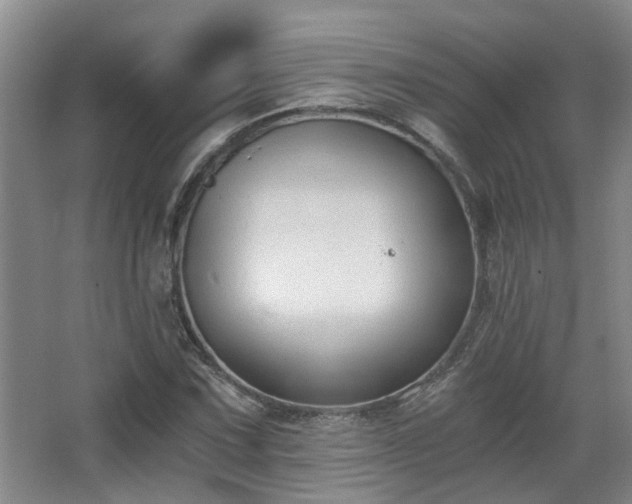 X0000068311067200604241357