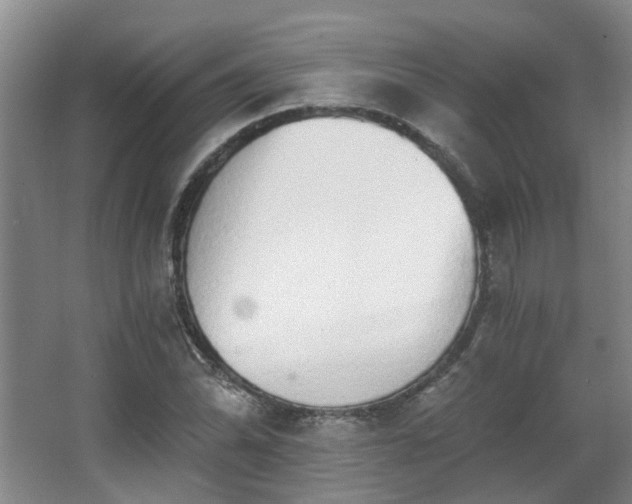 X0000068311070200604241357