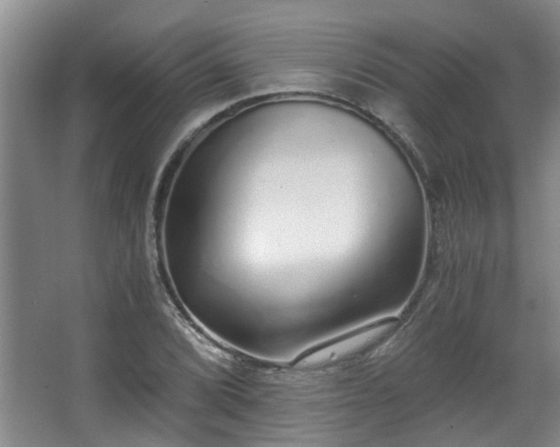 X0000068311072200604241357