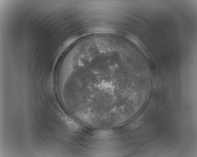 X0000068311074200604241357