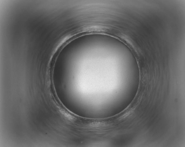 X0000068311075200604241357