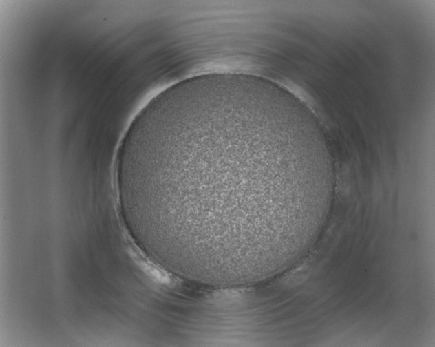 X0000068311078200604241357