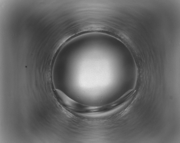 X0000068311081200604241357