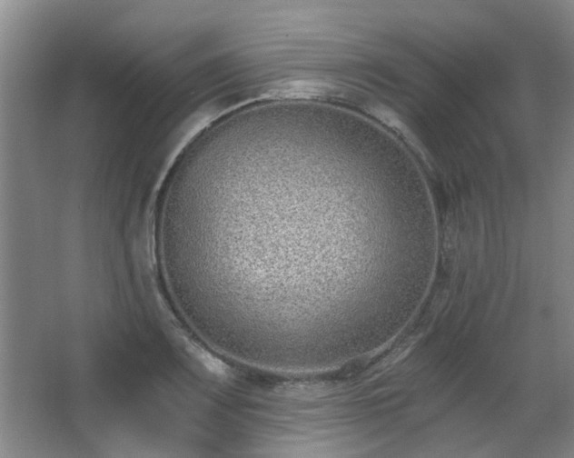 X0000068311083200604241357