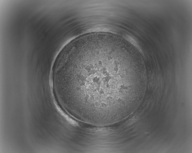 X0000068311084200604241357