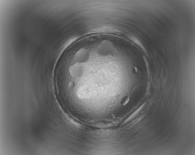 X0000068311087200604241357