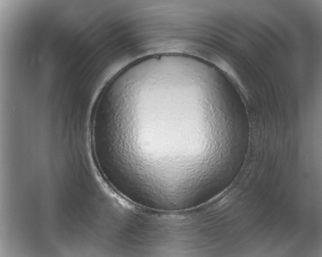 X0000068311088200604241357