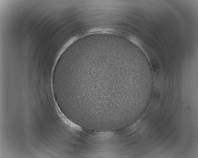 X0000068311090200604241357