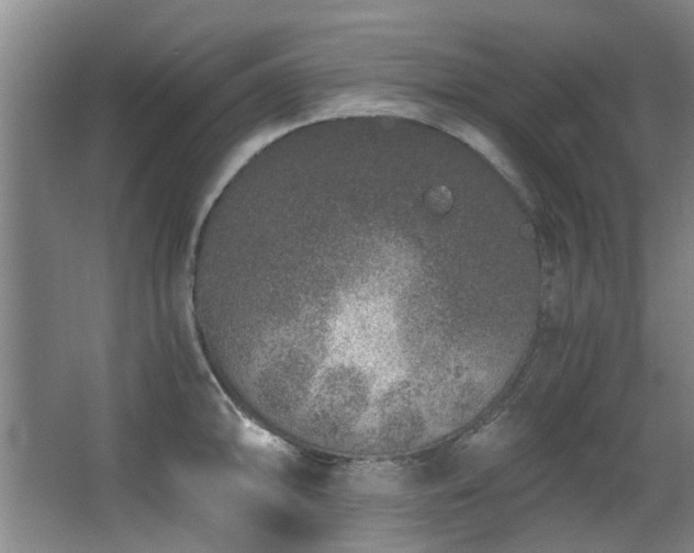 X0000068311094200604241357