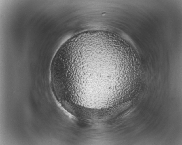 X0000068311095200604241357