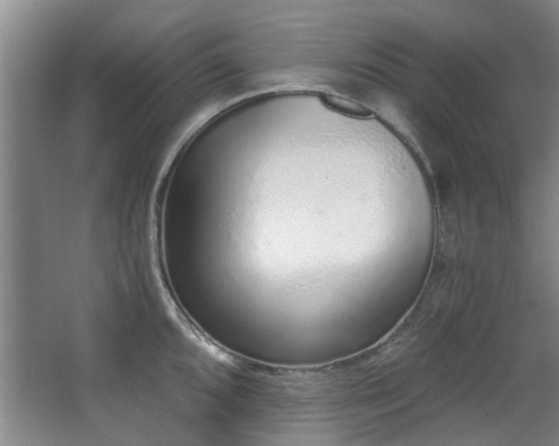 X0000068311096200604241356