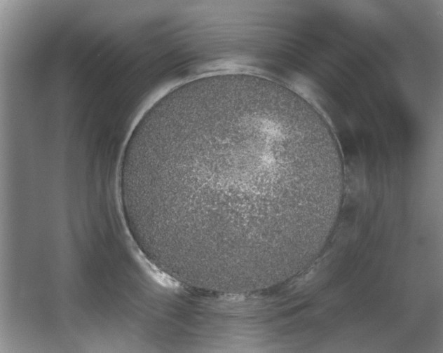 X0000068311098200604241356