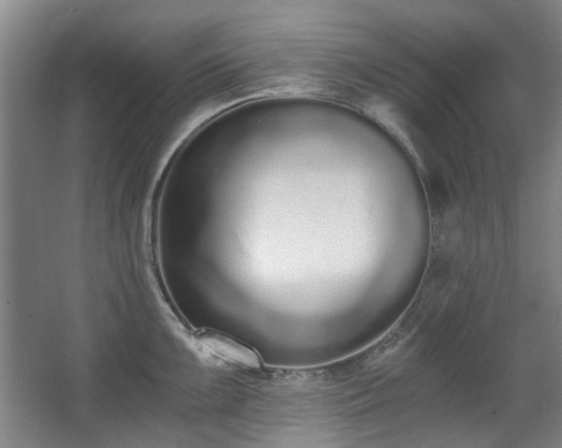 X0000068311099200604241356