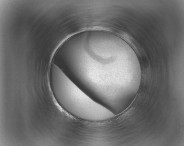 X0000068311100200604241356