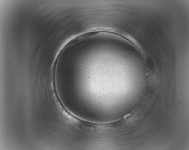 X0000068311102200604241356