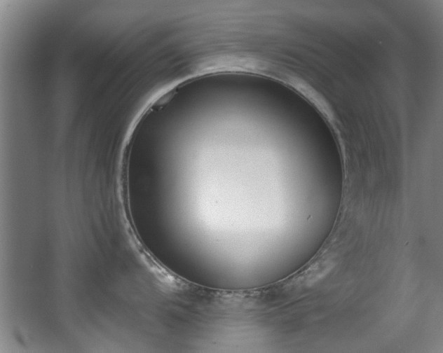 X0000068311104200604241356