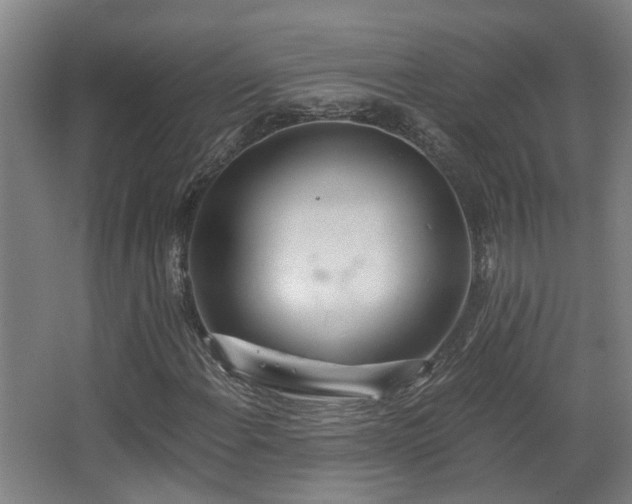 X0000068311108200604241356