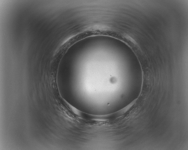 X0000068311112200604241356