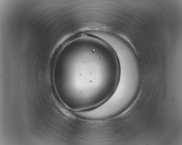 X0000068311114200604241356