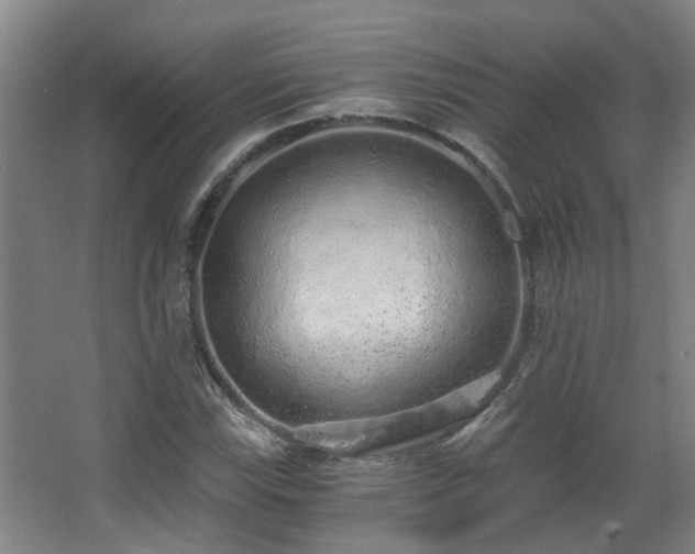 X0000068311115200604241356