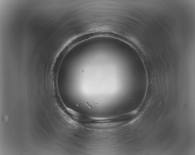 X0000068311118200604241356