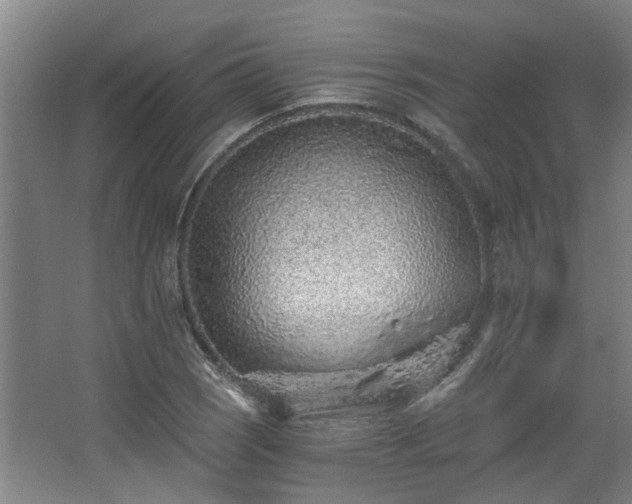 X0000068311121200604241356