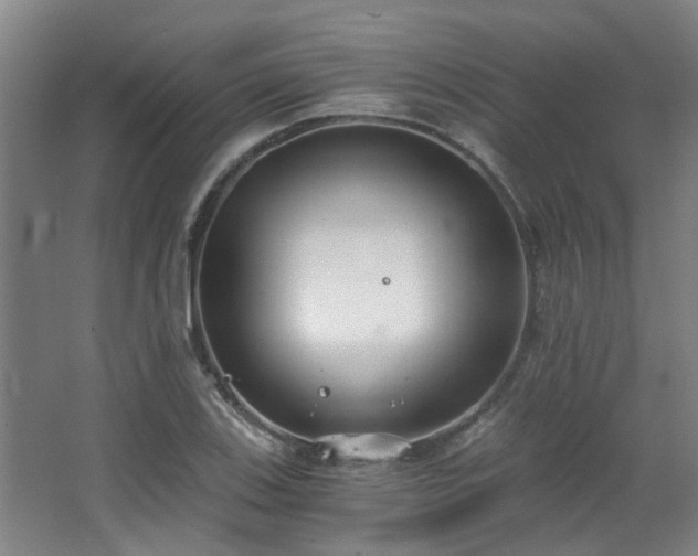 X0000068311123200604241356