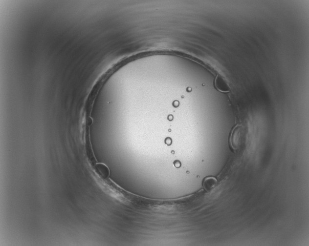 X0000068311126200604241356