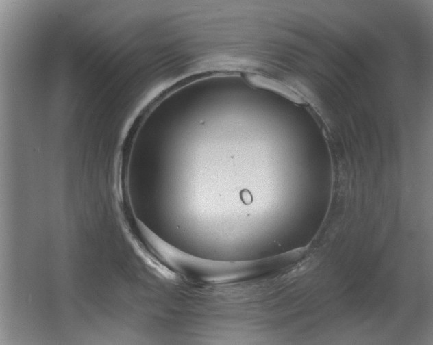 X0000068311128200604241356