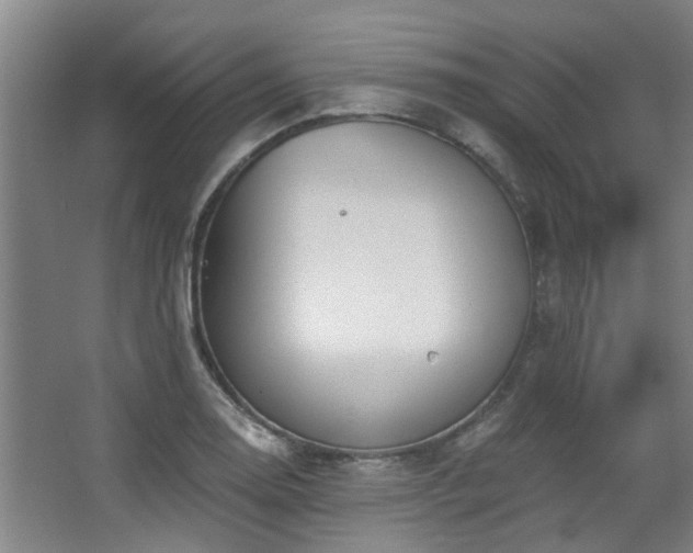 X0000068311130200604241356