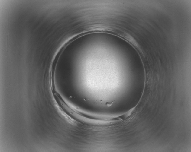 X0000068311132200604241356