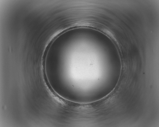 X0000068311133200604241356