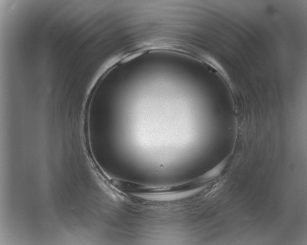 X0000068311146200604241356