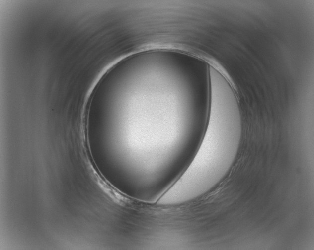 X0000068311148200604241356