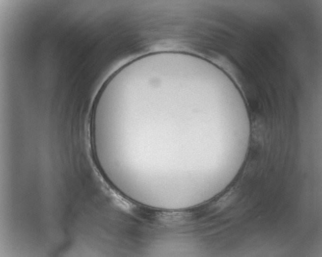 X0000068311150200604241356