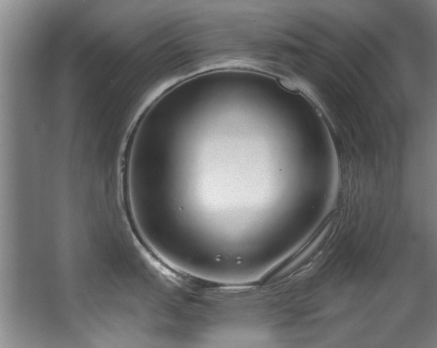 X0000068311151200604241356