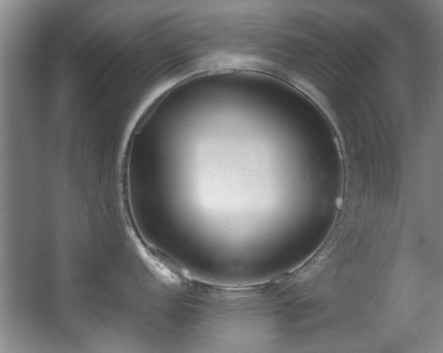 X0000068311152200604241356