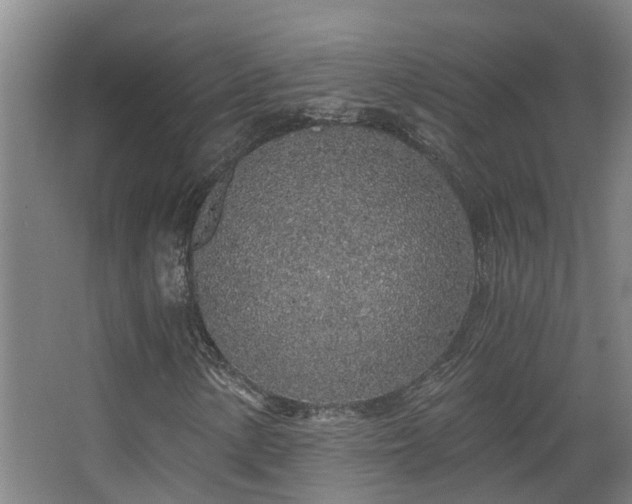 X0000068311154200604241356